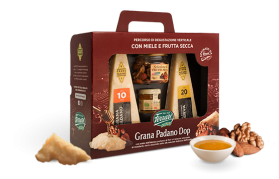 Degustazione Formaggio Grana Padano con miele