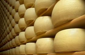 Ferrari Formaggi Bilancio di Sostenibilità