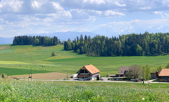 Emmentaler Ferrari, eccellenza premiata!