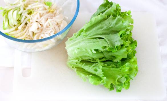 Insalata di indivia belga, gentilina, mele e lamponi