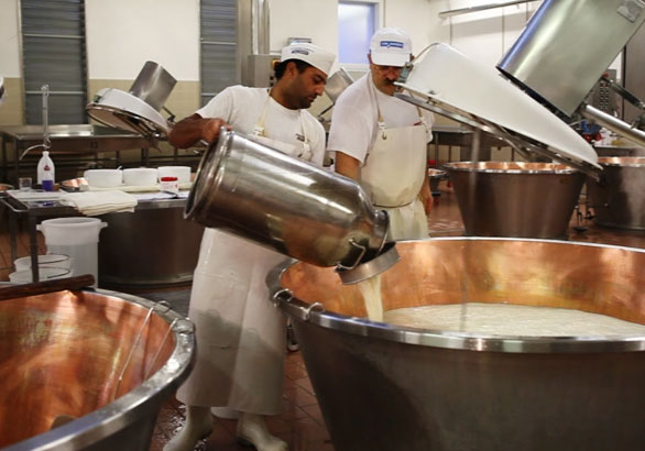 Fase di Lavorazione e Produzione del Formaggio