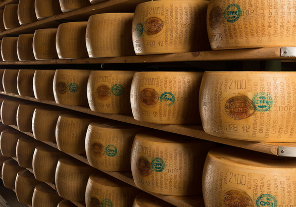 Stagionatura del Formaggio Stagionatura delle Forme di Formaggio